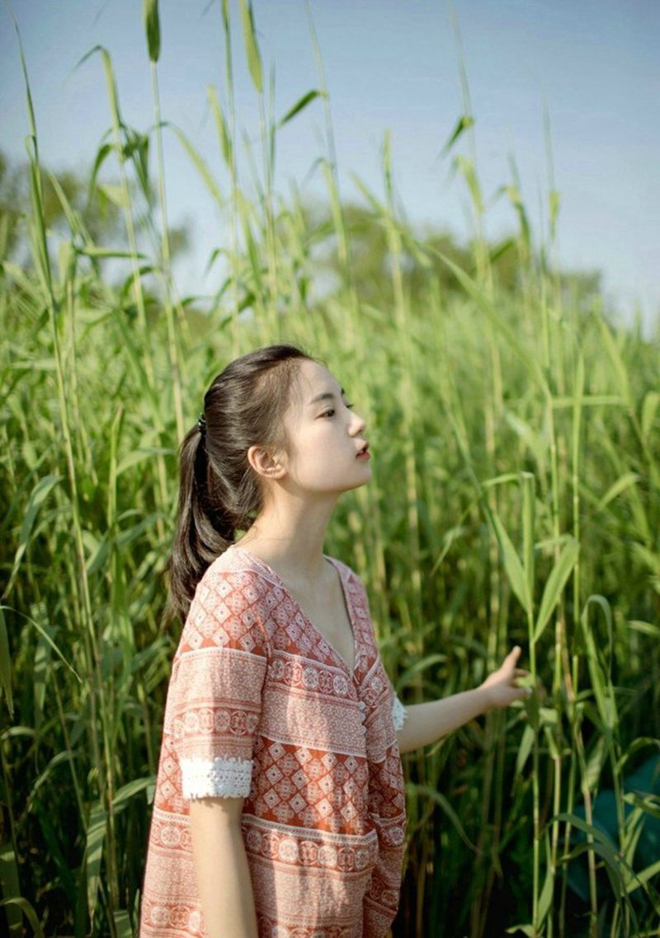 2012中文字幕手机免费看电影